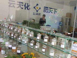 云天化測(cè)土配方肥 加盟代理前景與網(wǎng)絡(luò)技術(shù)服務(wù)解析